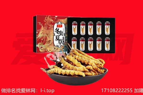 曲靖回收虫草.jpg